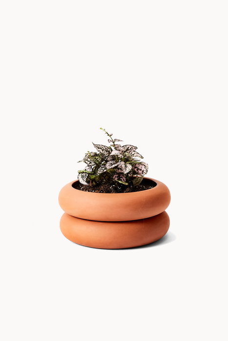 Stacking Planter in Terracotta