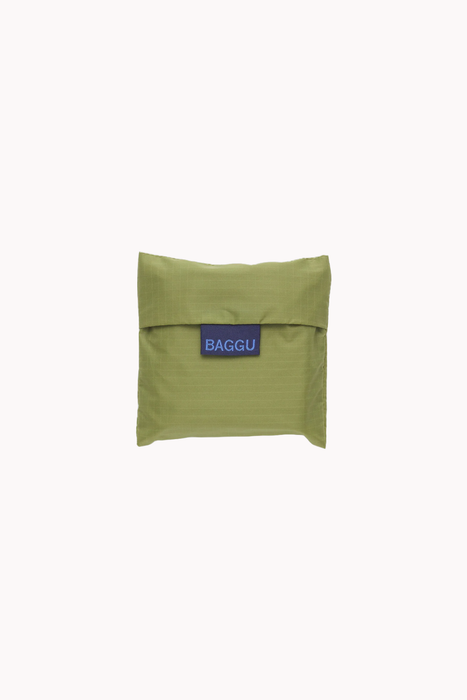 Baggu in Pistachio