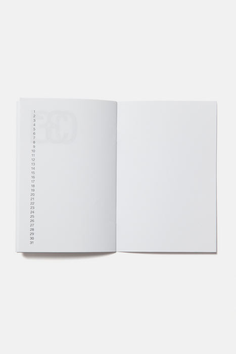 31 Journal Set in Mint