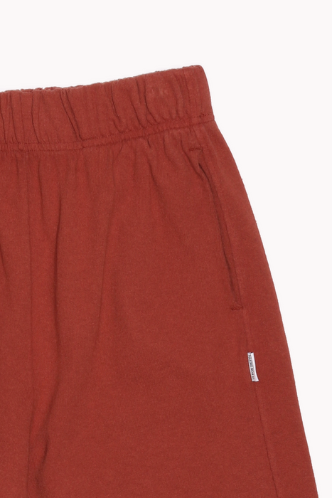Balloon Pants in Brick