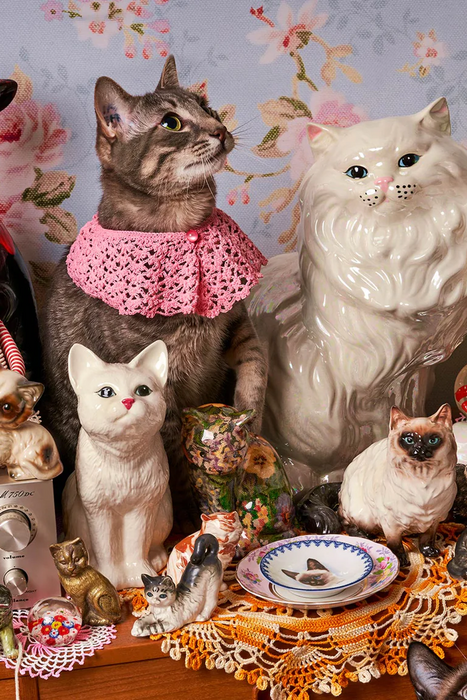 Cat Person 1000 Piece Puzzle